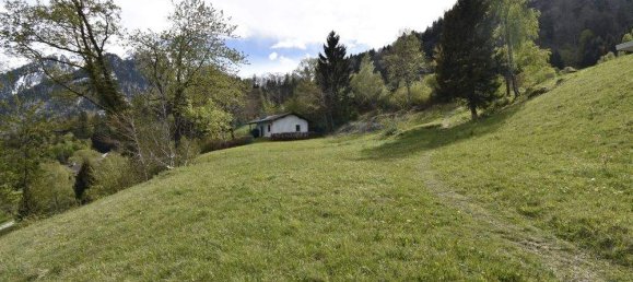 Terrain à Burserberg, Austria No. 218478 3