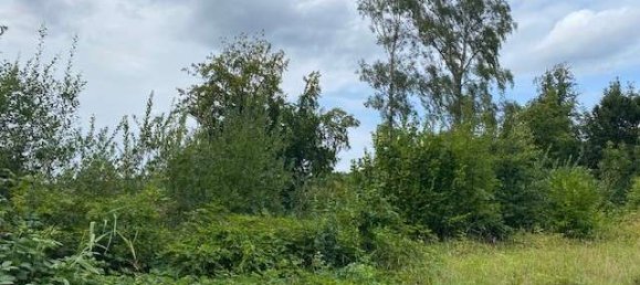  Land in Vorpommern-Rugen, Germany No. 124603 7