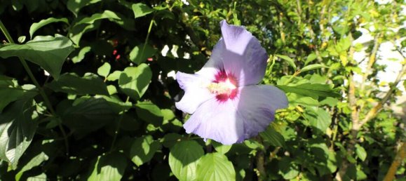 Moradia em banda T3 em Reutlingen, Germany N.º 336328 17