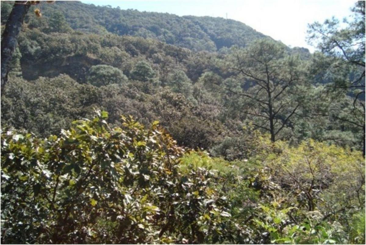 Terreno em Heroica Matamoros, Mexico N.º 203437