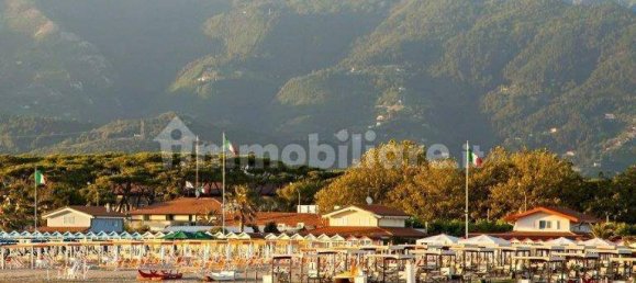 4 bedrooms Villa in Forte dei Marmi, Italy No. 138864 27