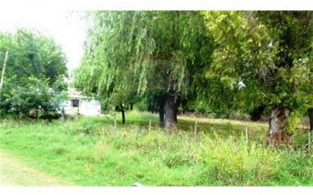 Terreno en Pilar, Argentina No. 36939