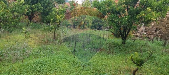 3 bedrooms House in Sarzedas, Portugal No. 31390 5