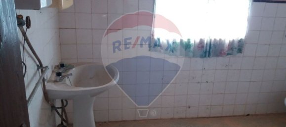 3 bedrooms House in Sarzedas, Portugal No. 31390 12