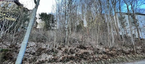 Grundstück in Sächsische Schweiz-Osterzgebirge, Germany, Nr. 150910 2