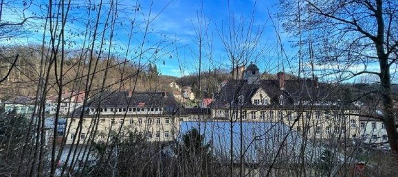 Grundstück in Sächsische Schweiz-Osterzgebirge, Germany, Nr. 150910 5