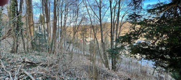 Grundstück in Sächsische Schweiz-Osterzgebirge, Germany, Nr. 150910 3