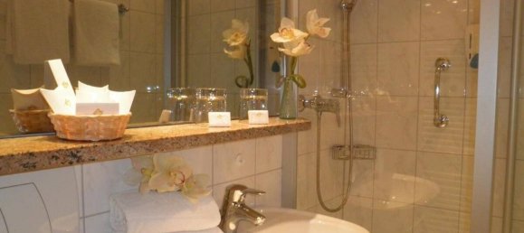 1 Schlafzimmer Hotel in Passau, Germany, Nr. 158449 10