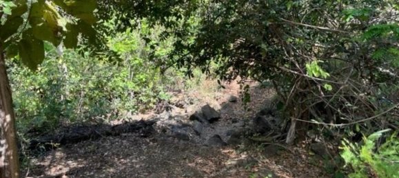 Grundstück in Liberia, Costa Rica, Nr. 1620 6