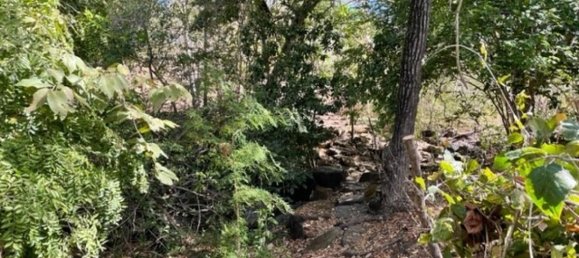 Grundstück in Liberia, Costa Rica, Nr. 1620 5