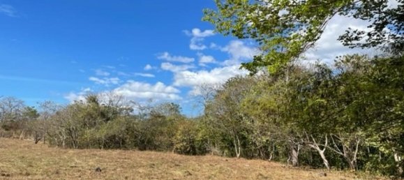 Grundstück in Liberia, Costa Rica, Nr. 1620 2