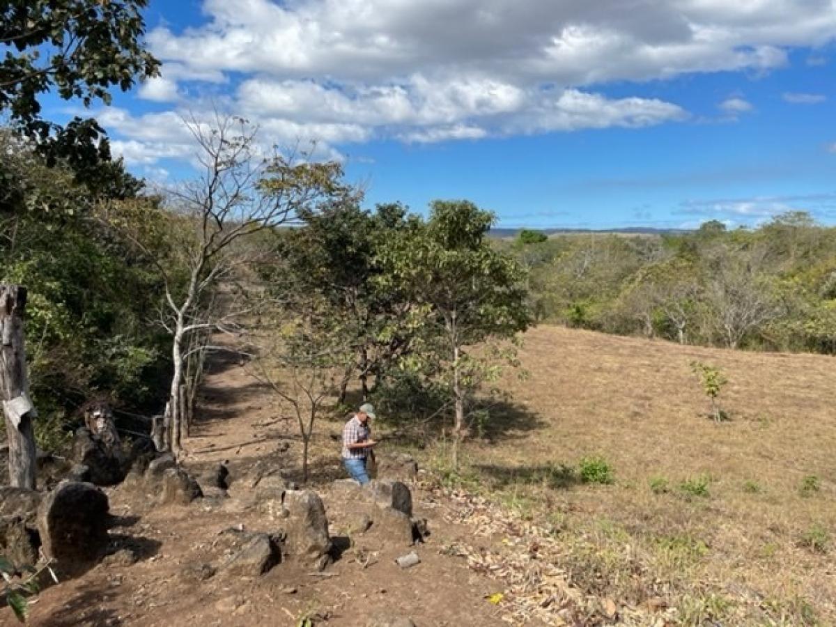 Grundstück in Liberia, Costa Rica, Nr. 1620