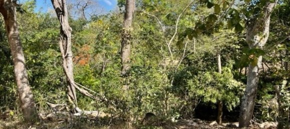 Grundstück in Liberia, Costa Rica, Nr. 1620 4