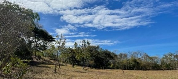 Grundstück in Liberia, Costa Rica, Nr. 1620 3