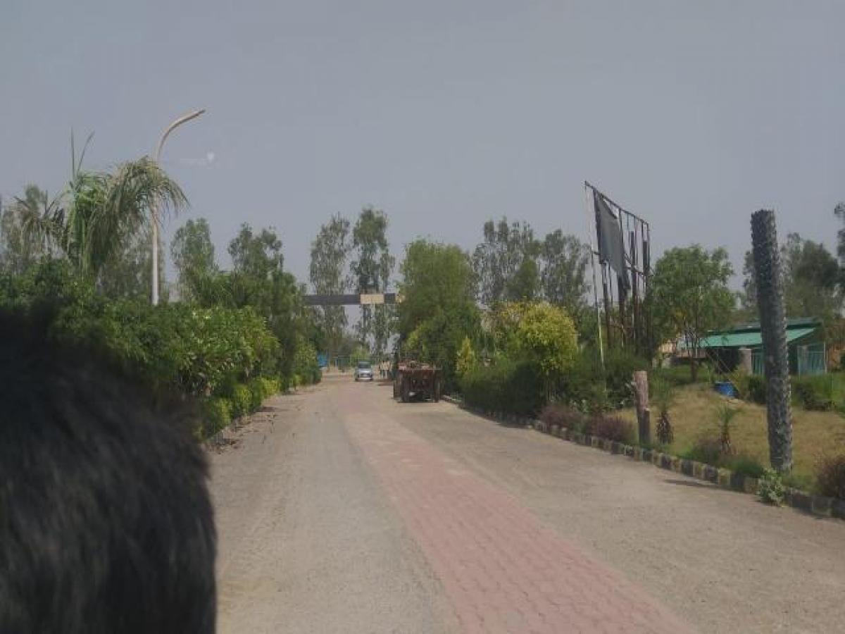 Terreno en Noida, India No. 31039