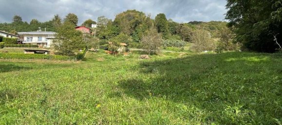 5100m² Land in Albino, Italy No. 148136 8