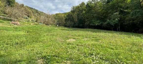 5100m² Land in Albino, Italy No. 148136 9