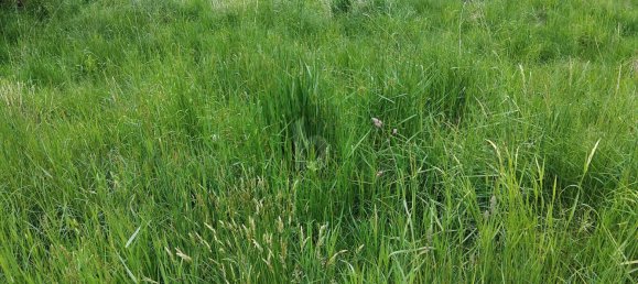 Terreno en Griffen, Austria 834 m² No. 227401 2