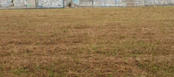 Grundstück in Pordenone, Italy 1712m², Nr. 278539 23