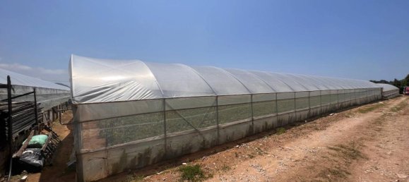 3 rooms Land in Sperlonga, Italy No. 158316 27