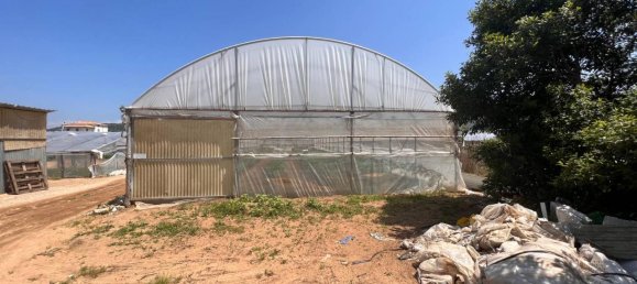 3 rooms Land in Sperlonga, Italy No. 158316 29