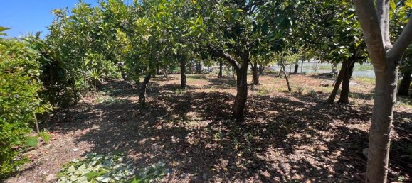 3 rooms Land in Sperlonga, Italy No. 158316 9