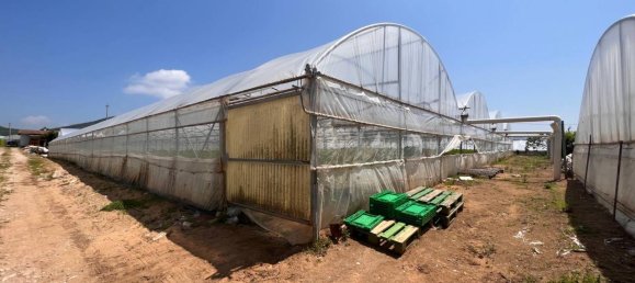 3 rooms Land in Sperlonga, Italy No. 158316 28