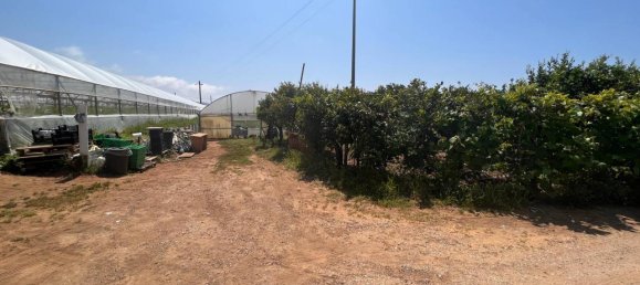 3 rooms Land in Sperlonga, Italy No. 158316 25