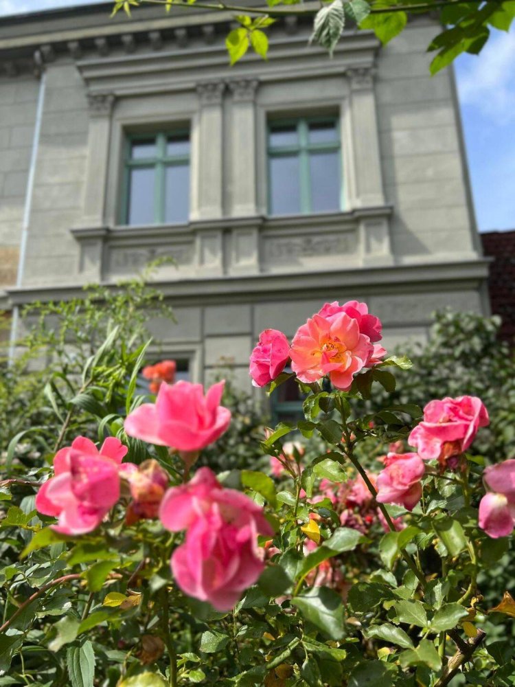 Dúplex de 2 dormitorios en Barnim, Germany No. 268147