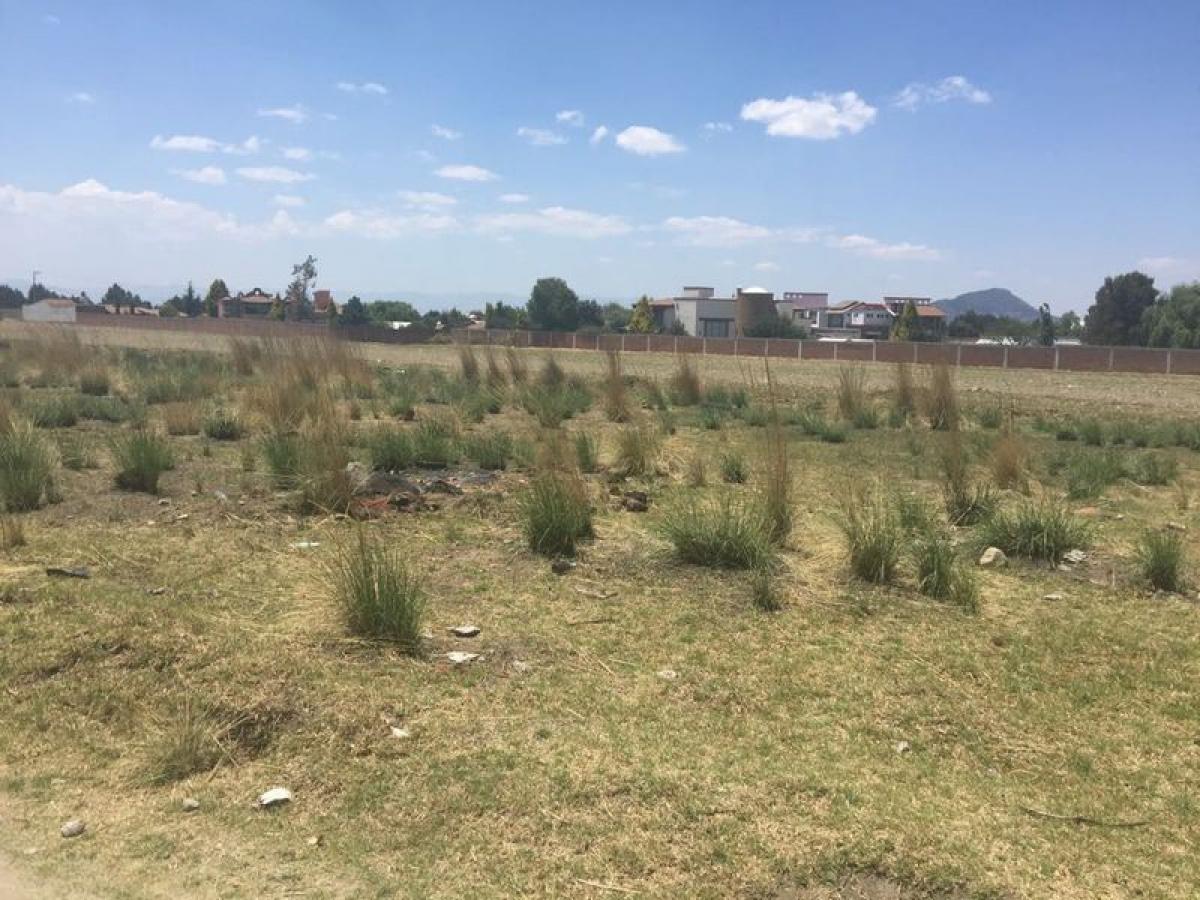  قطعة أرض في San Buenaventura, Mexico رقم 206321