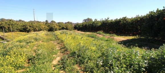 2 غرف نوم تاون هاوس في Silves, Portugal رقم 118462 30