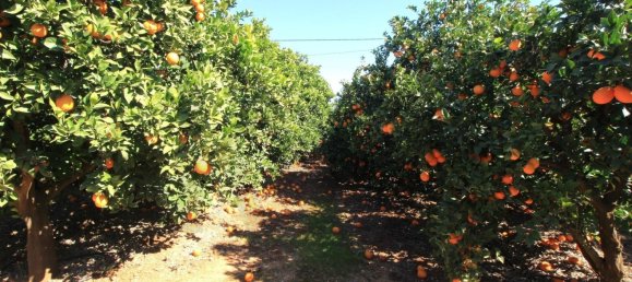 2 غرف نوم تاون هاوس في Silves, Portugal رقم 118462 28