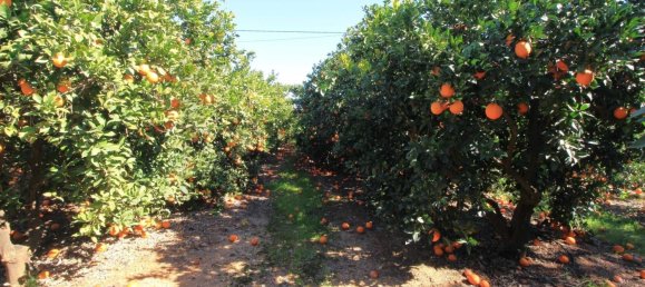 2 غرف نوم تاون هاوس في Silves, Portugal رقم 118462 31