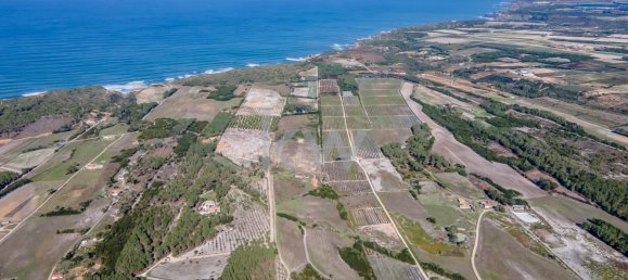 5 bedrooms Land in Rogil, Portugal No. 129851 12