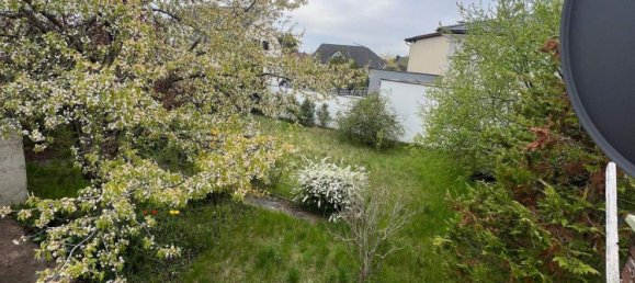 2-salle Bungalow à Felixdorf, Austria No. 50477 4