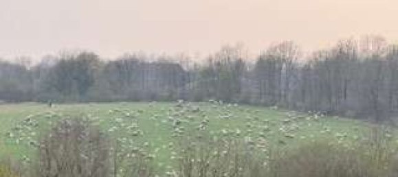 Duplex T1 em Wuppertal, Germany N.º 310106 18