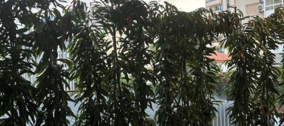 Квартира с 4 спальнями в Лимассол, Кипр № 16101 5