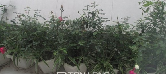 Apartamento de 3 dormitorios en Thanh Xuan, Vietnam No. 3317 9