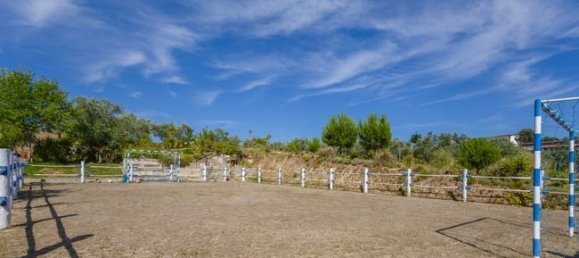 6 bedrooms House in Tancos, Portugal No. 70703 25