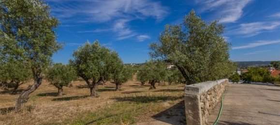 6 bedrooms House in Tancos, Portugal No. 70703 4