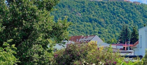 5-salle Maison de ville à Furth bei Gottweig, Austria No. 228231 16