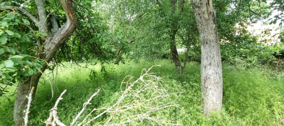 قطعة أرض في Nogent-le-Phaye, France رقم 91337 2