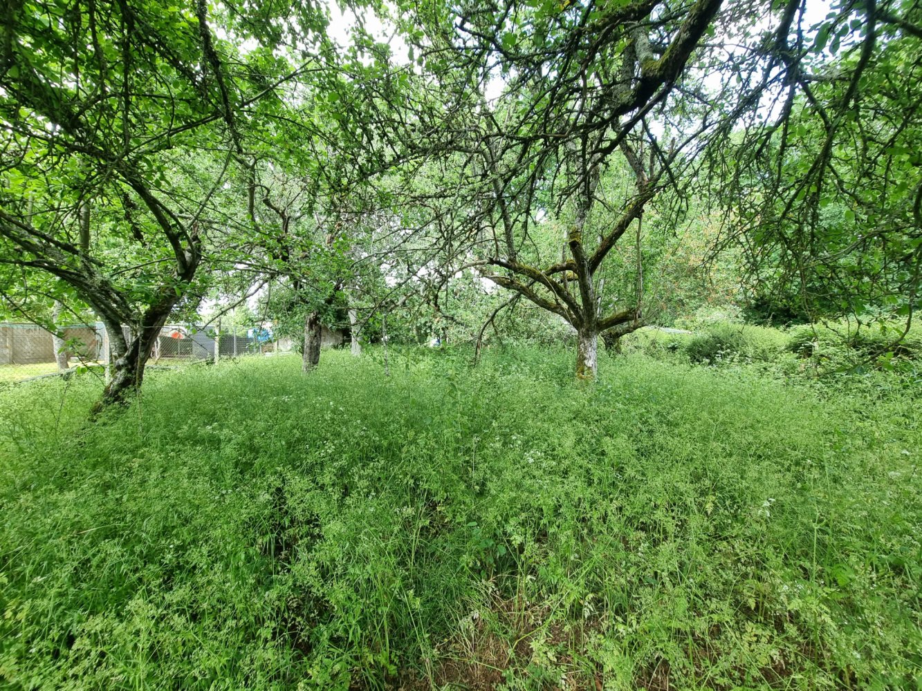  قطعة أرض في Nogent-le-Phaye, France رقم 91337