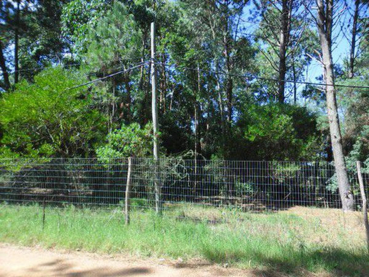  قطعة أرض في Maldonado, Uruguay رقم 15623