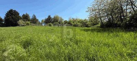 1669m² Land in Bad Kreuznach, Germany No. 338049 3