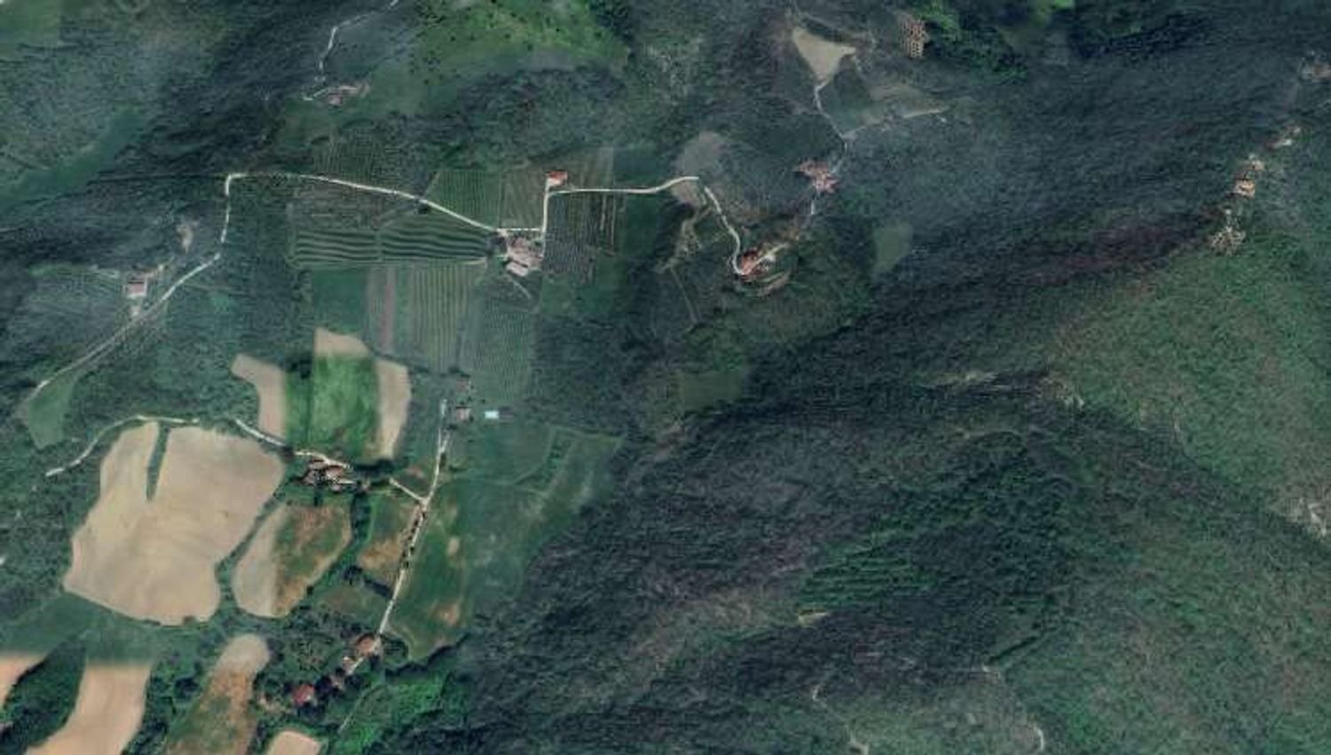 Terrain à Vicchio, Italy No. 324107