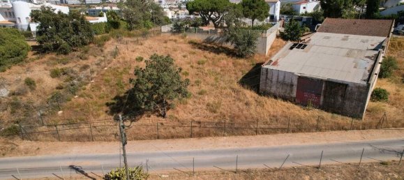 Terrain à Montenegro, Portugal 3326m² No. 142320 8