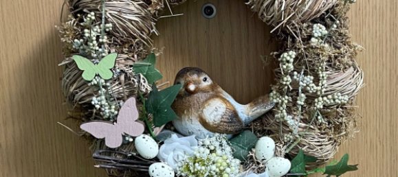 2 rooms Apartment in Lorrach, Germany No. 110037 2