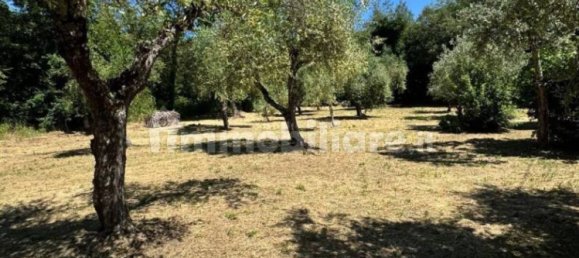 3 bedrooms House in Tuoro sul Trasimeno, Italy No. 356581 9