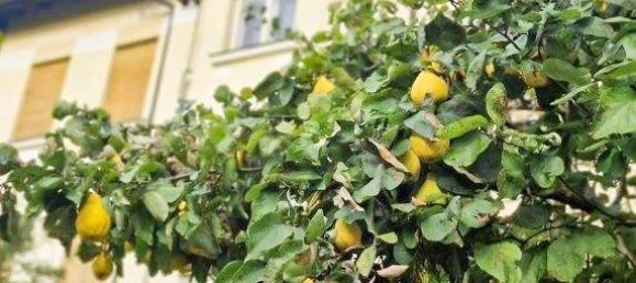 7غرفة فيلا في Berndorf, Austria رقم 130943 4